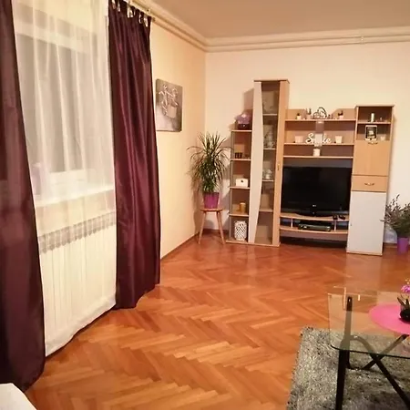 Apartment Suzy *